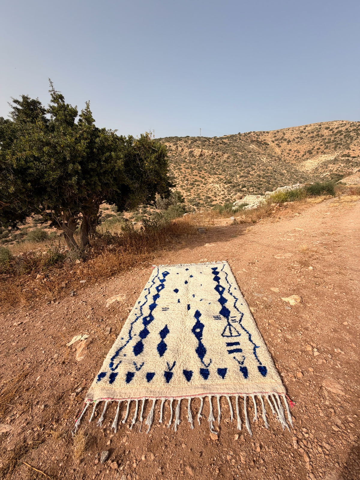 The Emily - Azilal 240x137cm